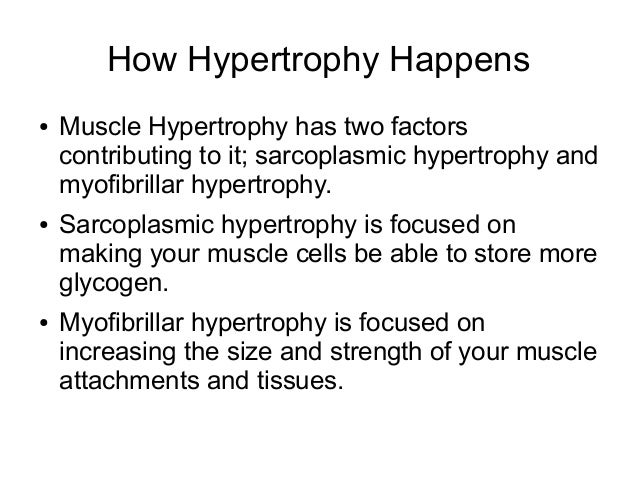 muscle hypertrophy