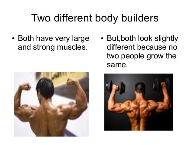 muscle hypertrophy