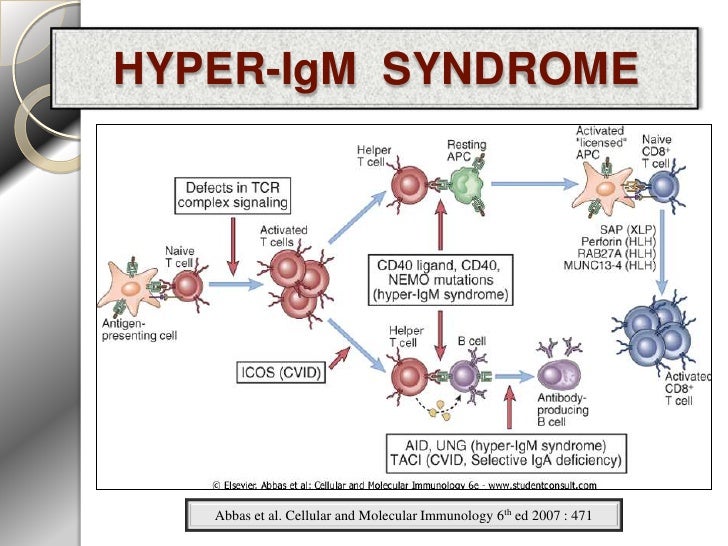 Hyper Ig M Syndrome        Hyper Ig M Syndrome