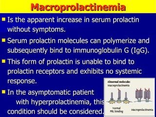 Macroprolactinemia Is the apparent increase in serum prolactin without symptoms.  Serum prolactin molecules can polymerize and subsequently bind to immunoglobulin G (IgG).  This form of prolactin is unable to bind to prolactin receptors and exhibits no systemic response.  In the asymptomatic patient  with hyperprolactinemia, this  condition should be considered.  