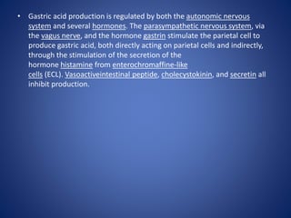• Gastric acid production is regulated by both the autonomic nervous
system and several hormones. The parasympathetic nervous system, via
the vagus nerve, and the hormone gastrin stimulate the parietal cell to
produce gastric acid, both directly acting on parietal cells and indirectly,
through the stimulation of the secretion of the
hormone histamine from enterochromaffine-like
cells (ECL). Vasoactiveintestinal peptide, cholecystokinin, and secretin all
inhibit production.
 