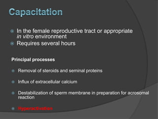 Hyperactivation Hyperactivation | PPTX