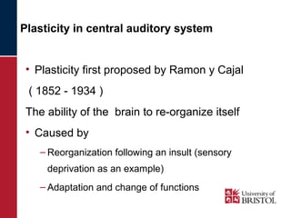 Plasticity in central auditory system 
• Plasticity first proposed by Ramon y Cajal 
( 1852 - 1934 ) 
The ability of the brain to re-organize itself 
• Caused by 
– Reorganization following an insult (sensory 
deprivation as an example) 
– Adaptation and change of functions 
 