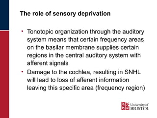 The role of sensory deprivation 
• Tonotopic organization through the auditory 
system means that certain frequency areas 
on the basilar membrane supplies certain 
regions in the central auditory system with 
afferent signals 
• Damage to the cochlea, resulting in SNHL 
will lead to loss of afferent information 
leaving this specific area (frequency region) 
 