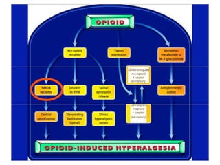 Gl/Go-coupJed
mu•opioid
r œptot
(lnh•bltory)
Gs-caupled
mu·oploid
r ceptor
{excitatory}
 