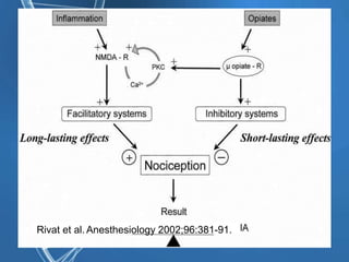 Rivat et al. Anesthesiology 2002;96:381-91.
 