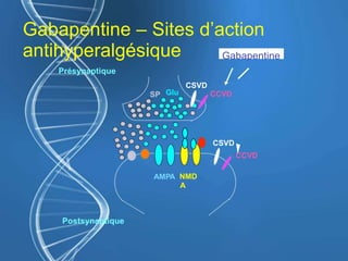 Gabapentine – Sites d’action
antihyperalgésique
Présynaptique
Postsynaptique
GluSP
AMPA NMD
A
CCVD
CSVD
CSVD
CCVD
Gabapentine
 