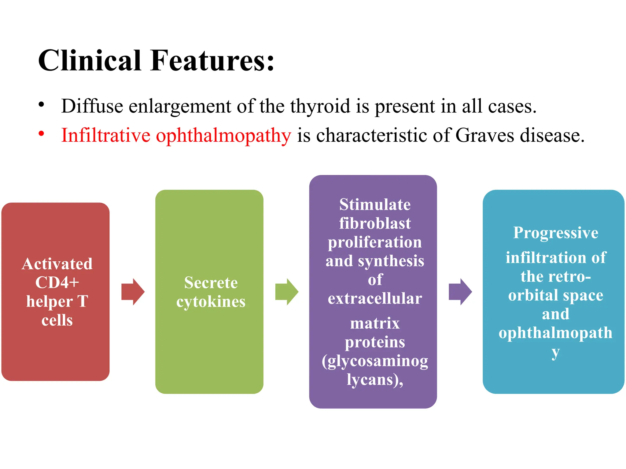 Clinical Features:
• Diffuse enlargement of the thyroid is present in all cases.
• Infiltrative ophthalmopathy is characteristic of Graves disease.
Activated
CD4+
helper T
cells
Secrete
cytokines
Stimulate
fibroblast
proliferation
and synthesis
of
extracellular
matrix
proteins
(glycosaminog
lycans),
Progressive
infiltration of
the retro-
orbital space
and
ophthalmopath
y
 