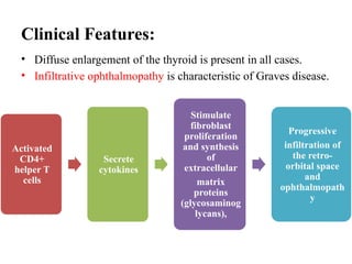 Clinical Features:
• Diffuse enlargement of the thyroid is present in all cases.
• Infiltrative ophthalmopathy is characteristic of Graves disease.
Activated
CD4+
helper T
cells
Secrete
cytokines
Stimulate
fibroblast
proliferation
and synthesis
of
extracellular
matrix
proteins
(glycosaminog
lycans),
Progressive
infiltration of
the retro-
orbital space
and
ophthalmopath
y
 