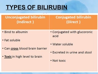 TYPES OF BILIRUBIN
 