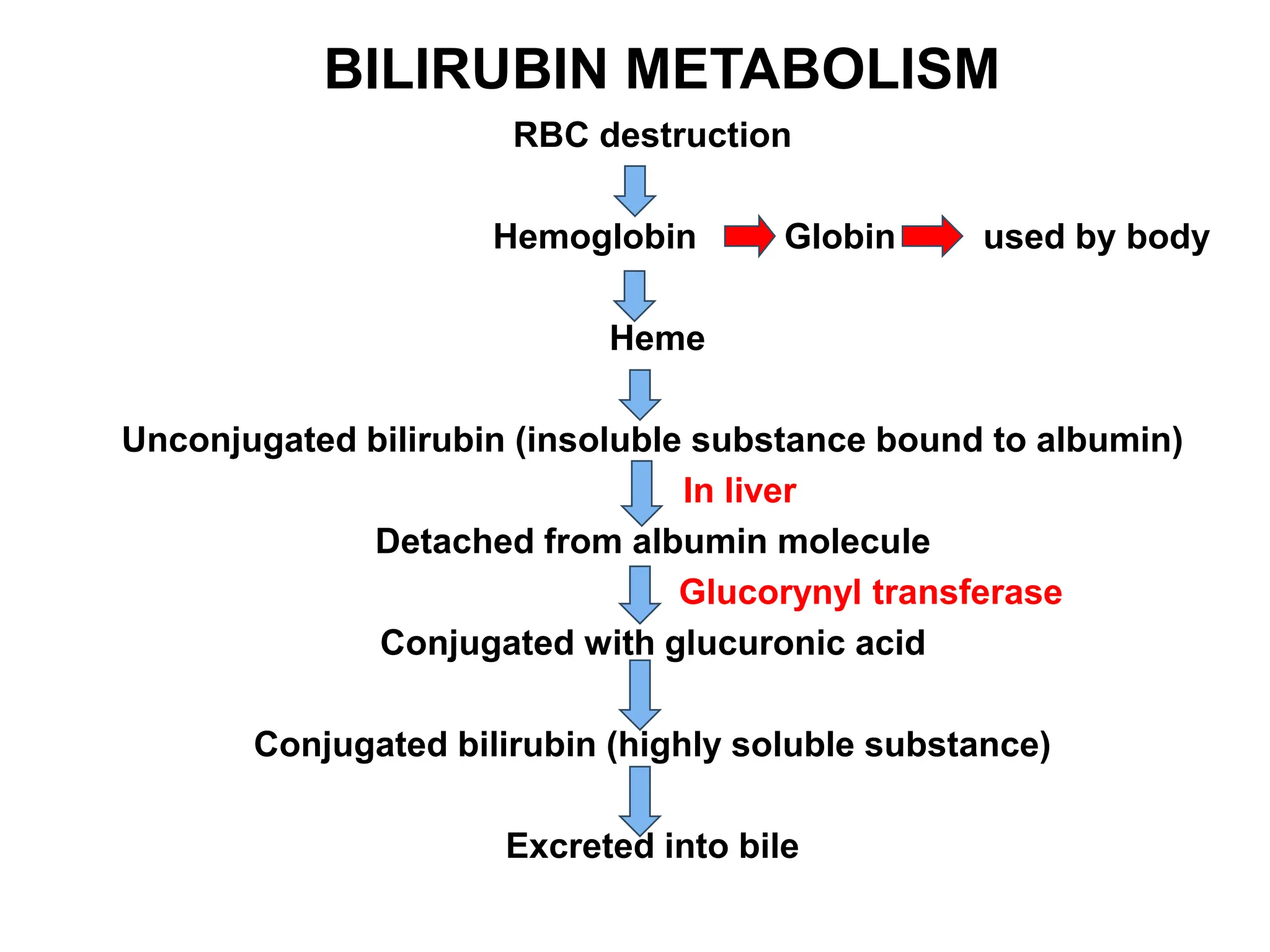 Hyperbilirubinemia Warning Signs: The Neonate You Can'T Ignore - ch7iofw