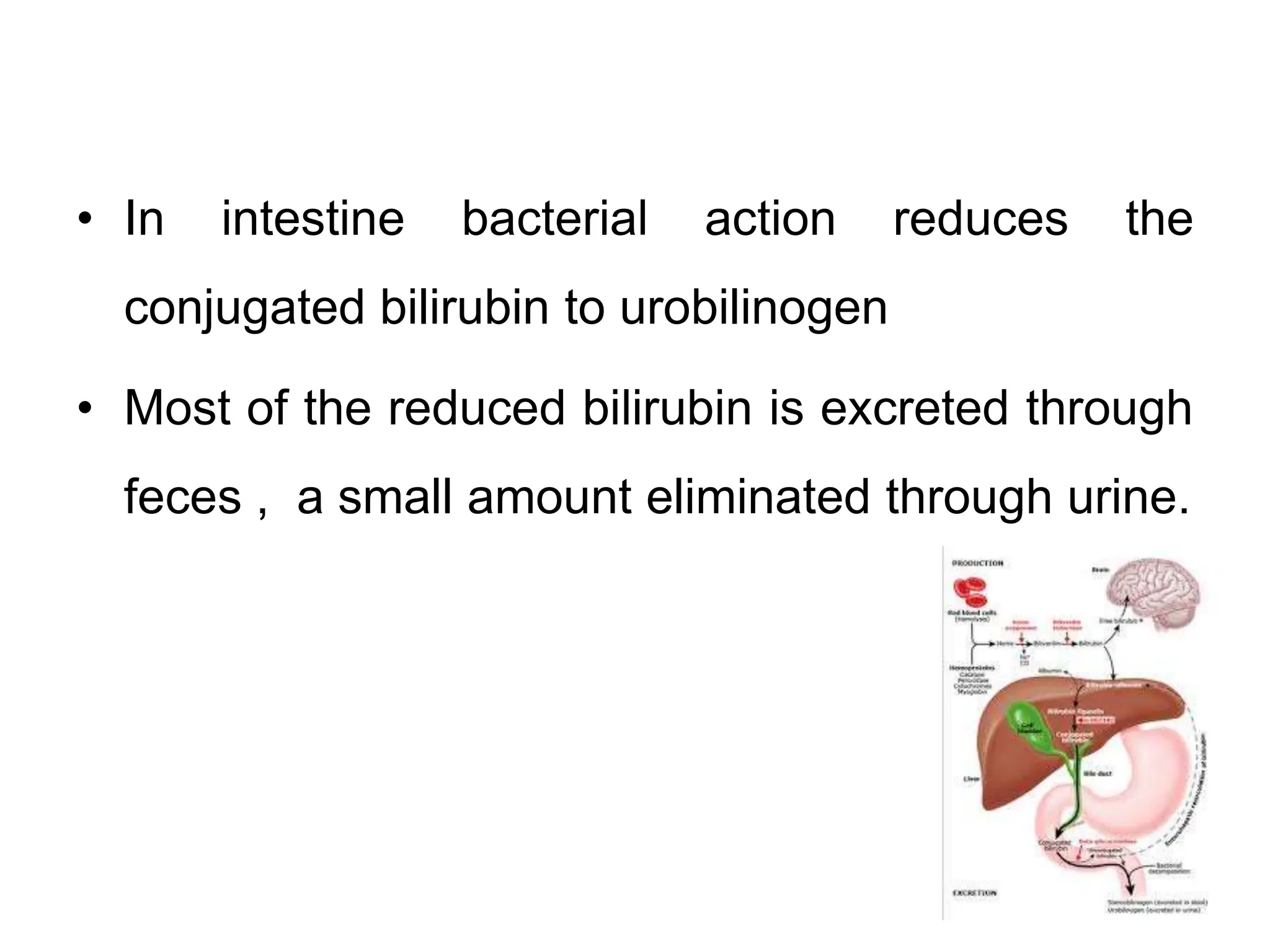 unit 3 nursing care of a neonate Hyperbilirubinemia neonate.ppt