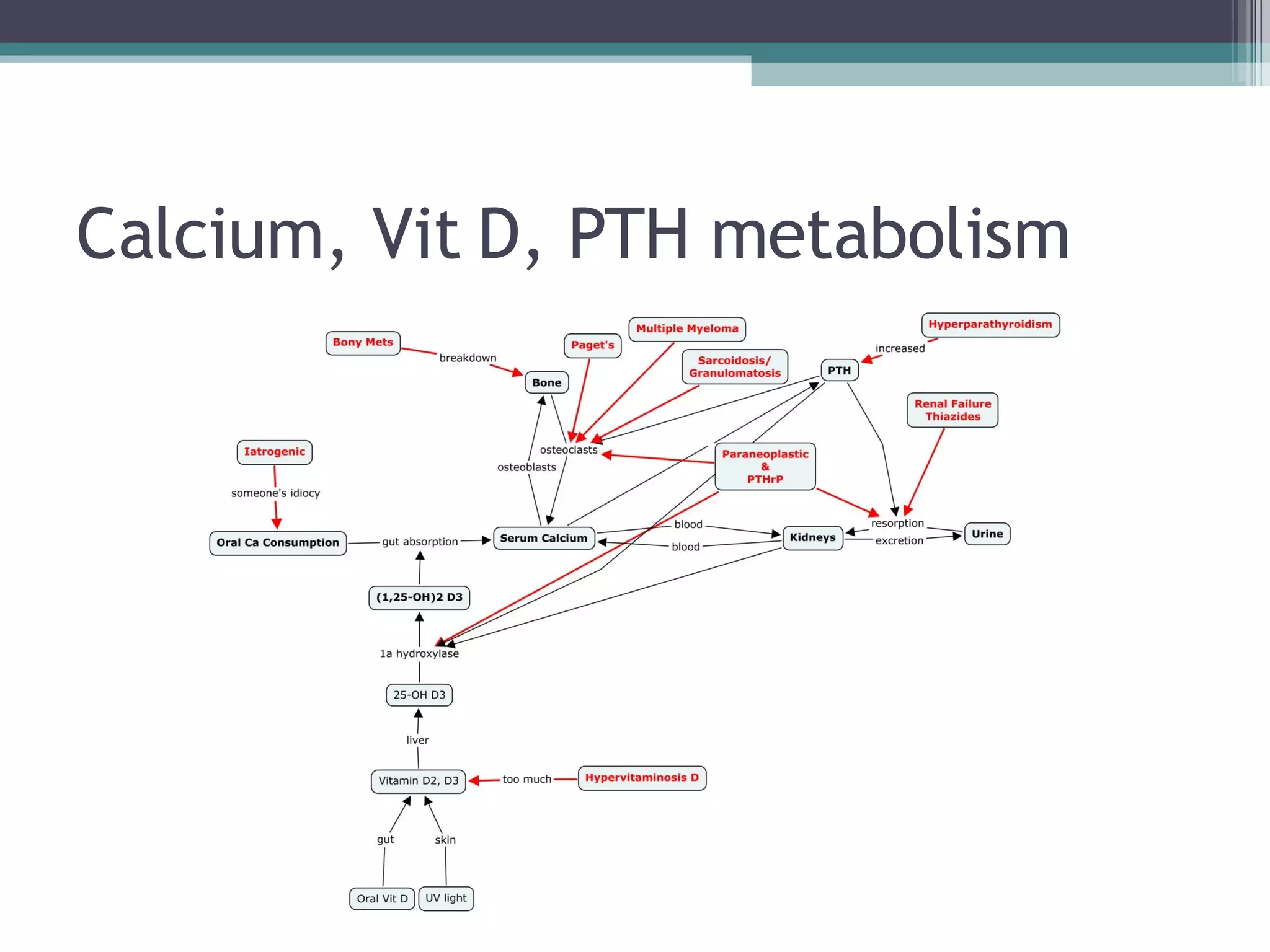 Calcium, Vit D, PTH metabolism 