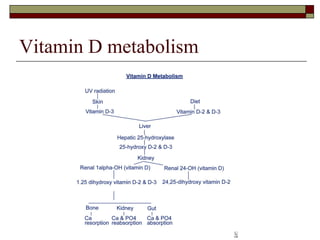Vitamin D metabolism 