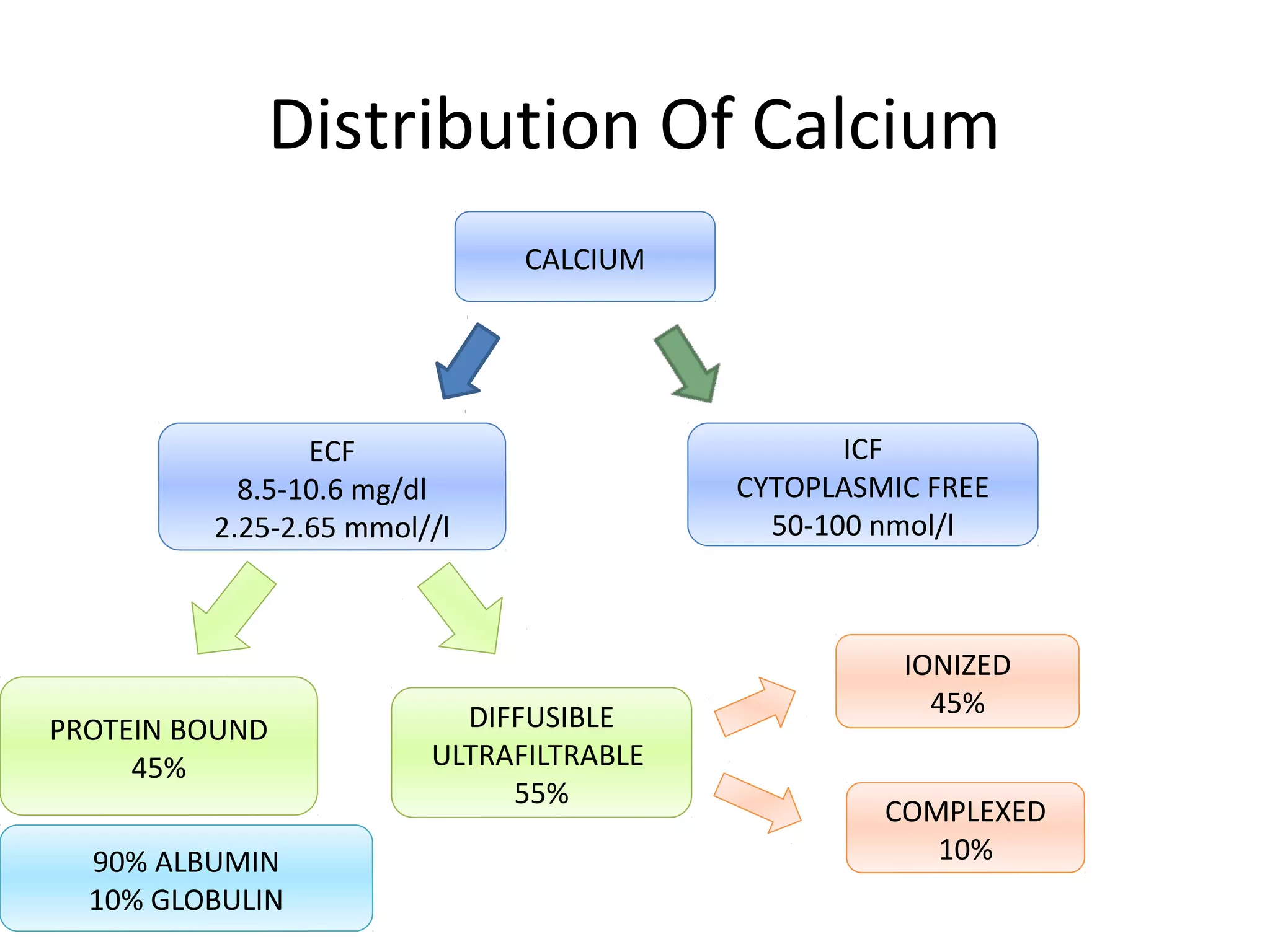 Distribution Of Calcium
CALCIUM
ECF
8.5-10.6 mg/dl
2.25-2.65 mmol//l
ICF
CYTOPLASMIC FREE
50-100 nmol/l
PROTEIN BOUND
45%
DIFFUSIBLE
ULTRAFILTRABLE
55%
IONIZED
45%
COMPLEXED
10%90% ALBUMIN
10% GLOBULIN
 