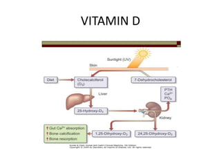 VITAMIN D 
 