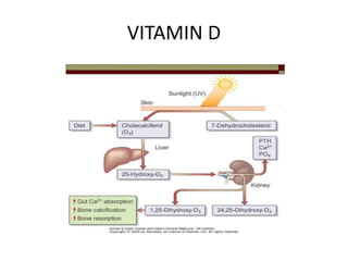 VITAMIN D 
 