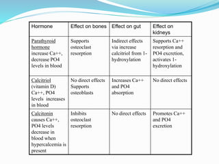 Hormone Effect on bones Effect on gut Effect on
kidneys
Parathyroid
hormone
increase Ca++,
decrease PO4
levels in blood
Supports
osteoclast
resorption
Indirect effects
via increase
calcitriol from 1-
hydroxylation
Supports Ca++
resorption and
PO4 excretion,
activates 1-
hydroxylation
Calcitriol
(vitamin D)
Ca++, PO4
levels increases
in blood
No direct effects
Supports
osteoblasts
Increases Ca++
and PO4
absorption
No direct effects
Calcitonin
causes Ca++,
PO4 levels
decrease in
blood when
hypercalcemia is
present
Inhibits
osteoclast
resorption
No direct effects Promotes Ca++
and PO4
excretion
 