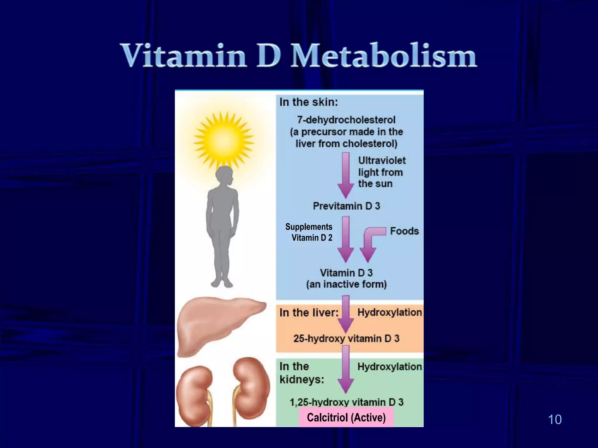 Calcitriol (Active)
Supplements
Vitamin D 2
10
 