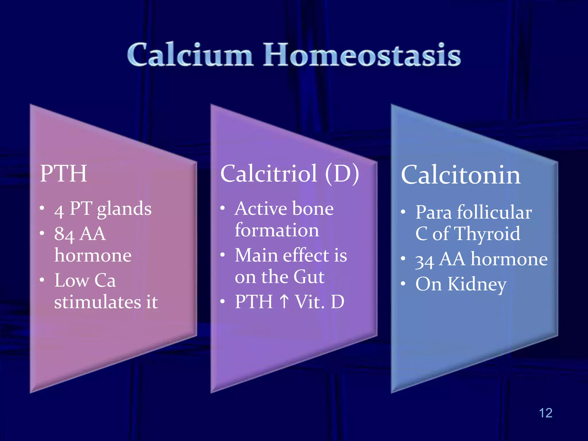 PTH
• 4 PT glands
• 84 AA
hormone
• Low Ca
stimulates it
Calcitriol (D)
• Active bone
formation
• Main effect is
on the Gut
• PTH  Vit. D
Calcitonin
• Para follicular
C of Thyroid
• 34 AA hormone
• On Kidney
12
 