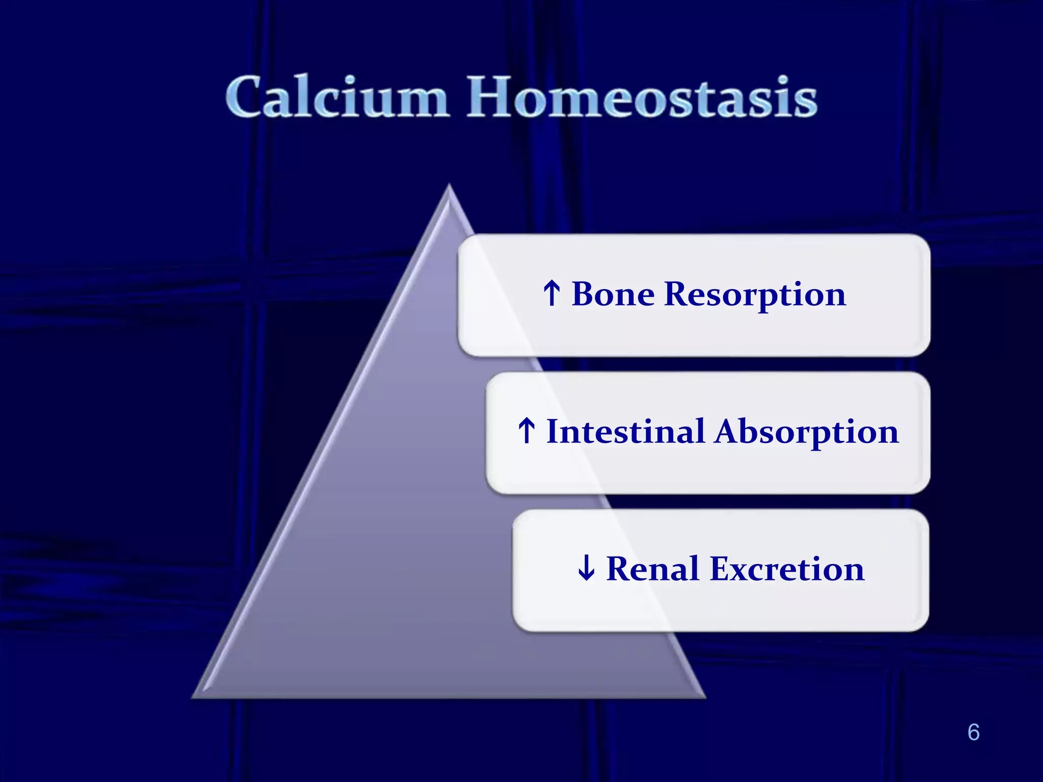 6
 Bone Resorption
 Intestinal Absorption
 Renal Excretion
 