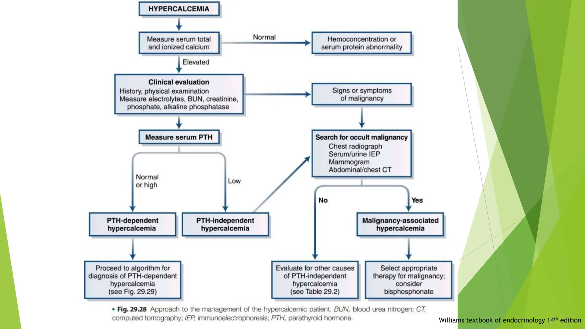 Williams textbook of endocrinology 14th edition
 