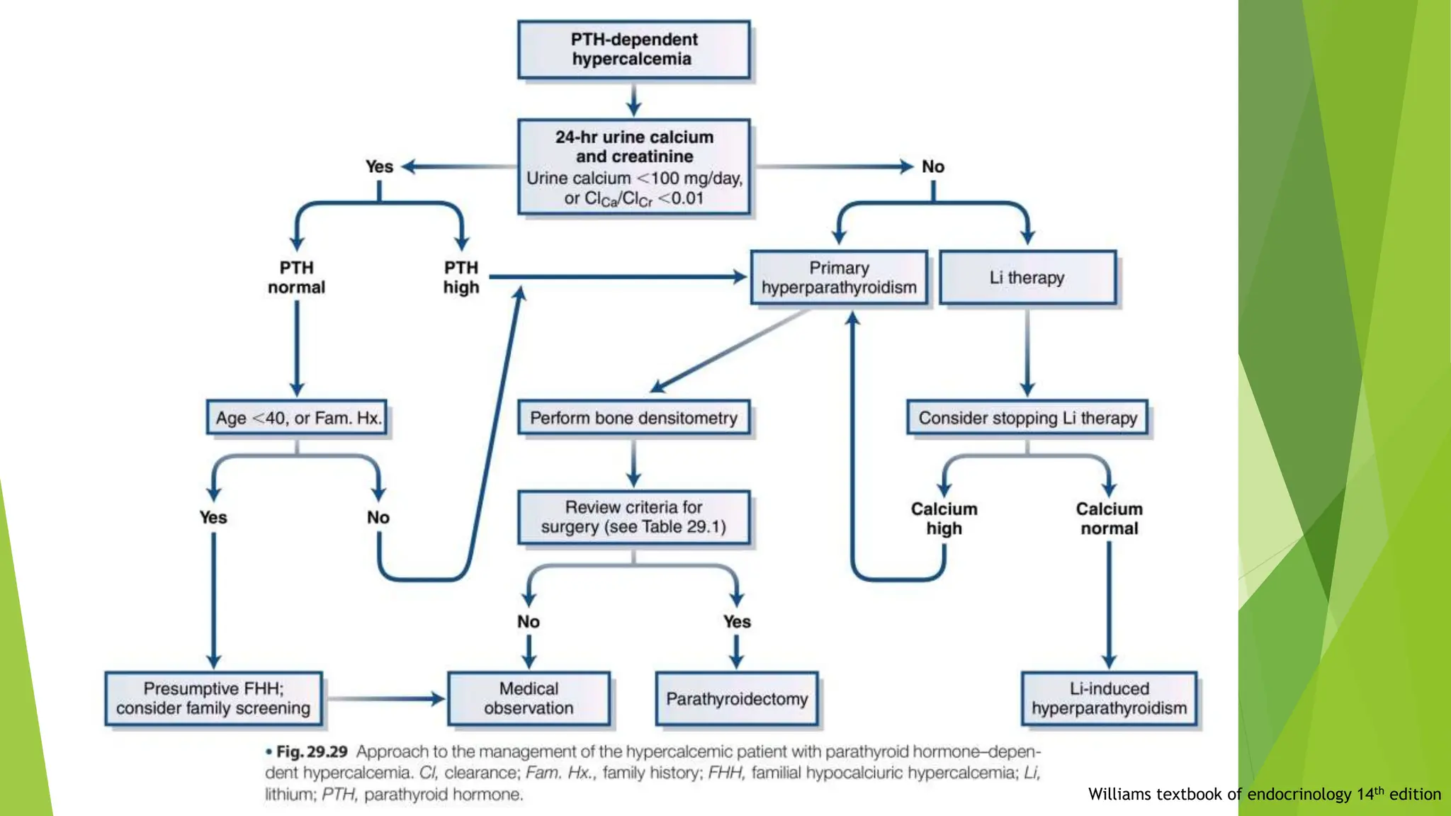 Williams textbook of endocrinology 14th edition
 