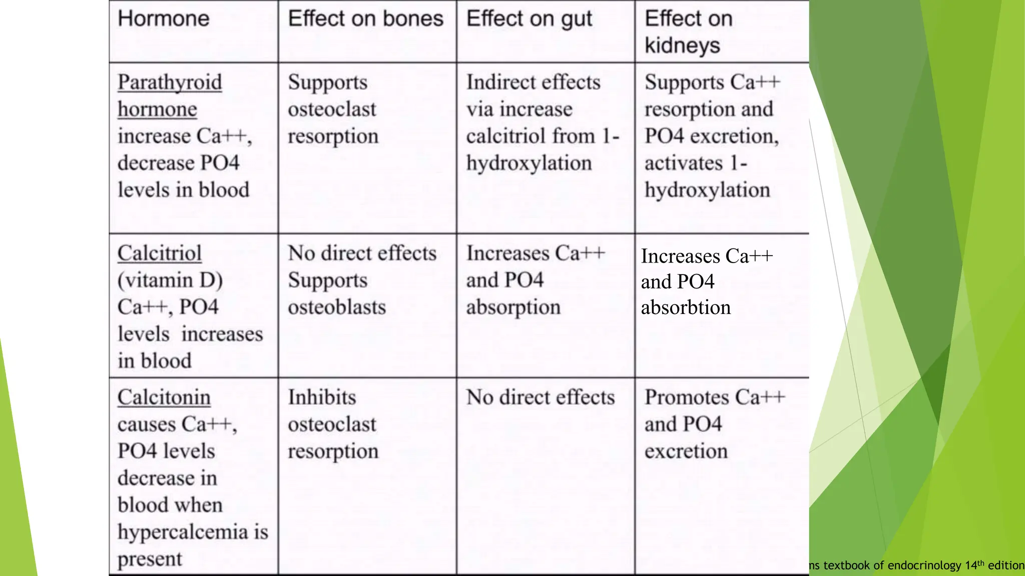 Williams textbook of endocrinology 14th edition
Increases Ca++
and PO4
absorbtion
 