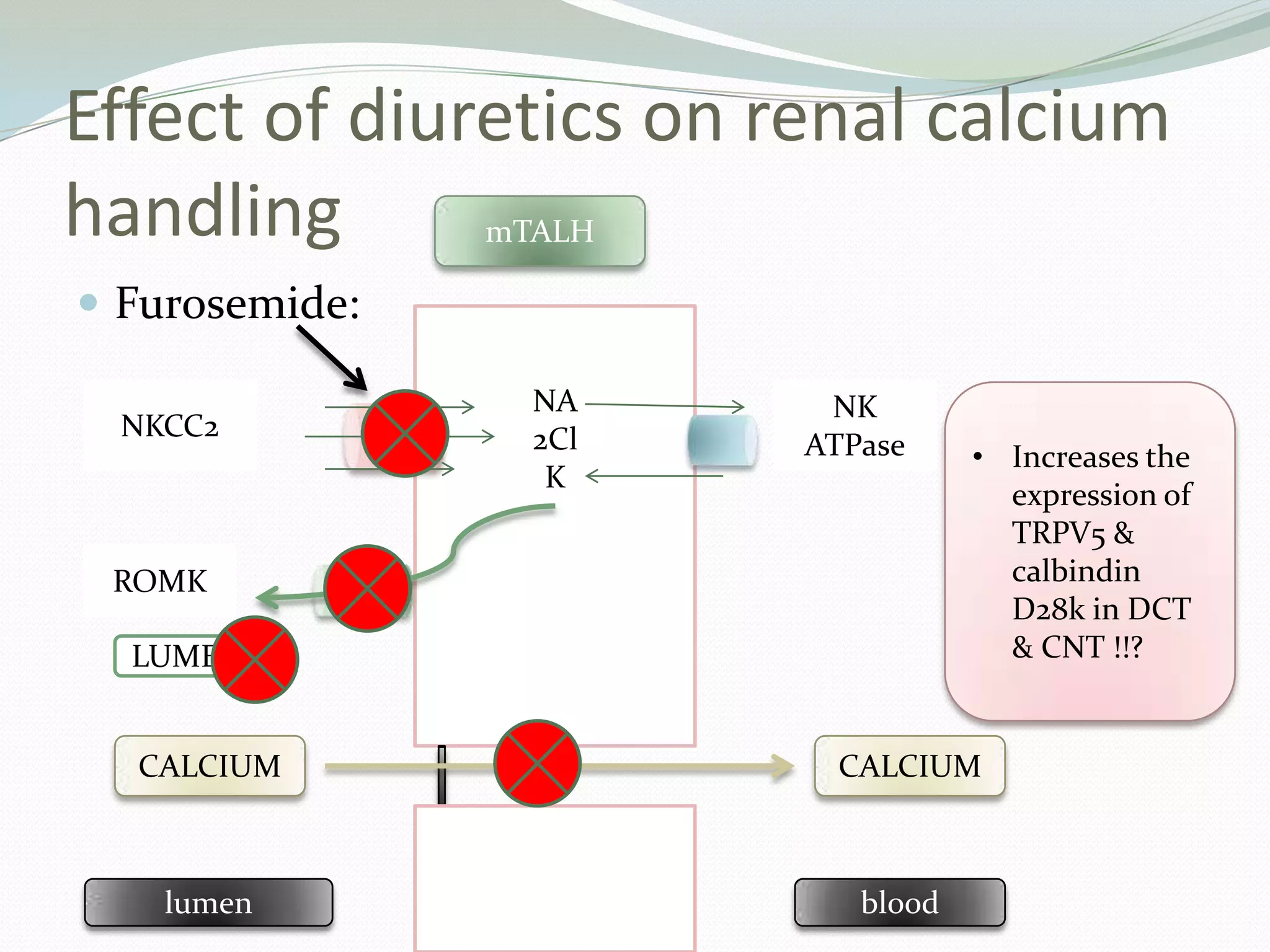 Effect of diuretics on renal calcium
handling
 Furosemide:
NKCC2
ROMK
NK
ATPase
NA
2Cl
K
LUMEN +
CALCIUM CALCIUM
mTALH
lumen blood
• Increases the
expression of
TRPV5 &
calbindin
D28k in DCT
& CNT !!?
 