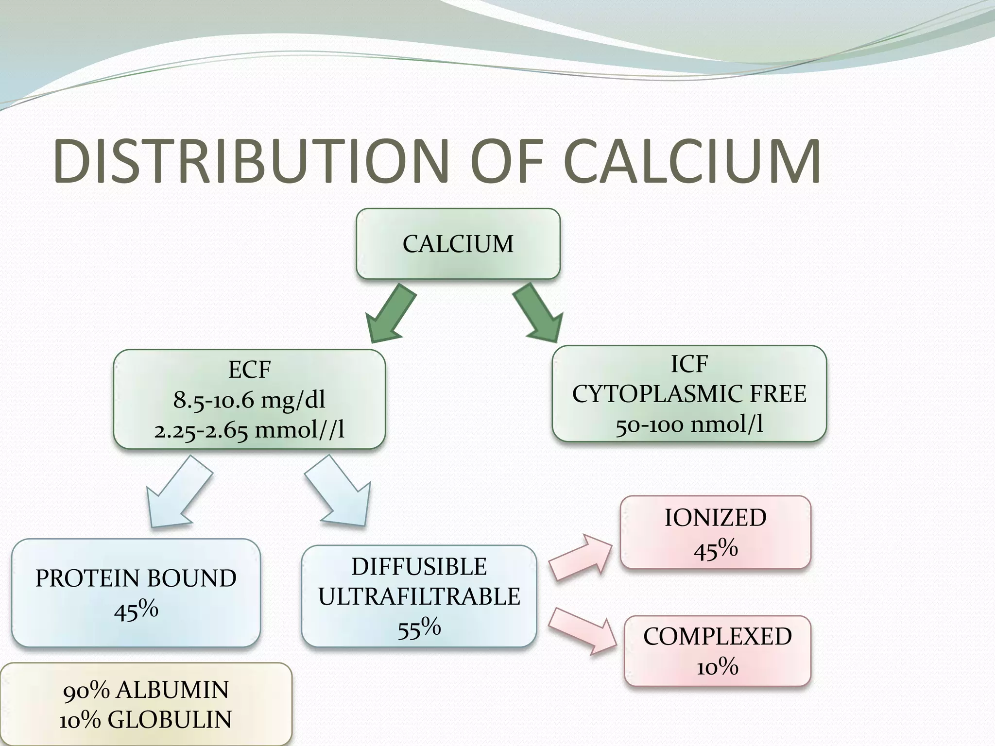 DISTRIBUTION OF CALCIUM
CALCIUM
ECF
8.5-10.6 mg/dl
2.25-2.65 mmol//l
ICF
CYTOPLASMIC FREE
50-100 nmol/l
PROTEIN BOUND
45%
DIFFUSIBLE
ULTRAFILTRABLE
55%
IONIZED
45%
COMPLEXED
10%
90% ALBUMIN
10% GLOBULIN
 