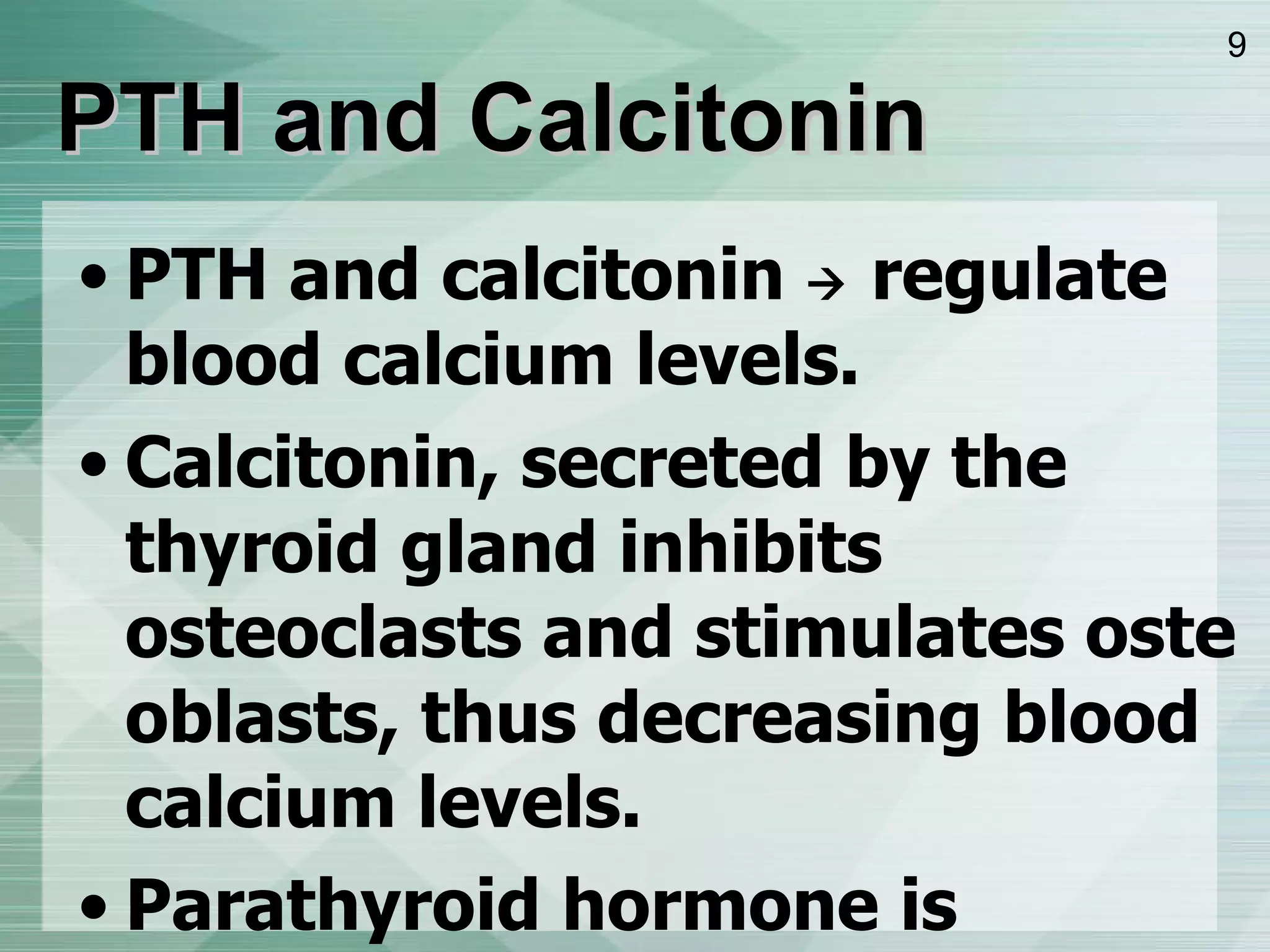 PTH and C alcitonin PTH and  calcitonin     regulate blood calcium levels .  Calcitonin, secreted by the thyroid gland inhibits  osteoclasts  and stimulates  osteoblasts , thus decreasing blood calcium levels .  Parathyroid hormone is secreted by the  parathyroid glands  ; increase blood calcium levels .  