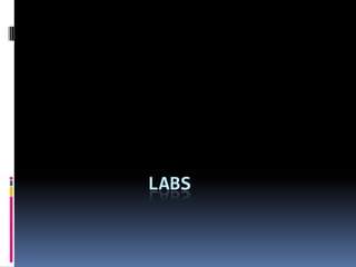 LABS
 