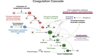 Hypercoagulable state.pptx
