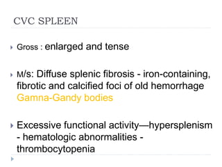 CVC SPLEEN
 Gross : enlarged and tense
 M/s: Diffuse splenic fibrosis - iron-containing,
fibrotic and calcified foci of old hemorrhage
Gamna-Gandy bodies
 Excessive functional activity—hypersplenism
- hematologic abnormalities -
thrombocytopenia
 