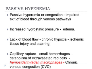 PASSIVE HYPEREMIA
 Passive hyperemia or congestion : impaired
exit of blood through venous pathways
 Increased hydrostatic pressure - edema.
 Lack of blood flow - chronic hypoxia - ischemic
tissue injury and scarring.
 Capillary rupture - small hemorrhages -
catabolism of extravasated red cells -
hemosiderin-laden macrophages - Chronic
venous congestion (CVC)
 