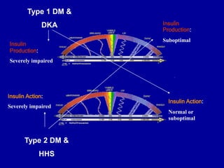Insulin
Production:
Severely impaired
Insulin Action:
Severely impaired
Insulin Action:
Normal or
suboptimal
Insulin
Production:
Suboptimal
Type 1 DM &
DKA
Type 2 DM &
HHS
 