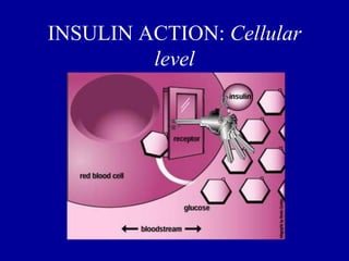 INSULIN ACTION: Cellular
level
 