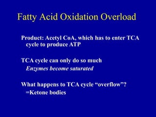 Fatty Acid Oxidation Overload
Product: Acetyl CoA, which has to enter TCA
cycle to produce ATP
TCA cycle can only do so much
Enzymes become saturated
What happens to TCA cycle “overflow”?
=Ketone bodies
 