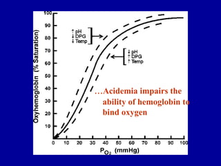 …Acidemia impairs the
ability of hemoglobin to
bind oxygen
 