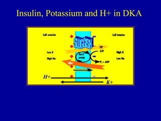 Insulin, Potassium and H+ in DKA
H+
K+
 