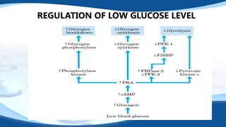 View of Hyperglycemia | PPTX