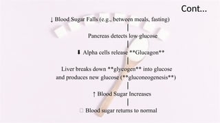 Cont…
↓ Blood Sugar Falls (e.g., between meals, fasting)
│
Pancreas detects low glucose
│
⬇ Alpha cells release **Glucagon**
│
Liver breaks down **glycogen** into glucose
and produces new glucose (**gluconeogenesis**)
│
↑ Blood Sugar Increases
│
✅ Blood sugar returns to normal
 