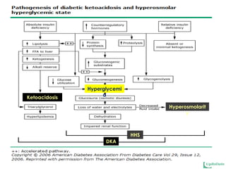 Hyperglycemi
a
Hyperosmolarit
y
Ketoacidosis
HHS
DKA
 