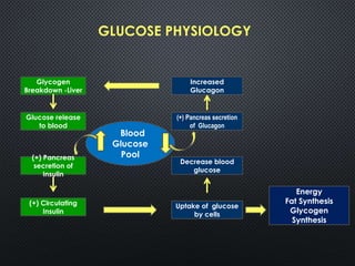 GLUCOSE PHYSIOLOGY
Glycogen
Breakdown -Liver
Increased
Glucagon
Energy
Fat Synthesis
Glycogen
Synthesis
Glucose release
to blood
(+) Pancreas secretion
of Glucagon
Blood
Glucose
Pool(+) Pancreas
secretion of
Insulin
(+) Circulating
Insulin
Uptake of glucose
by cells
Decrease blood
glucose
 