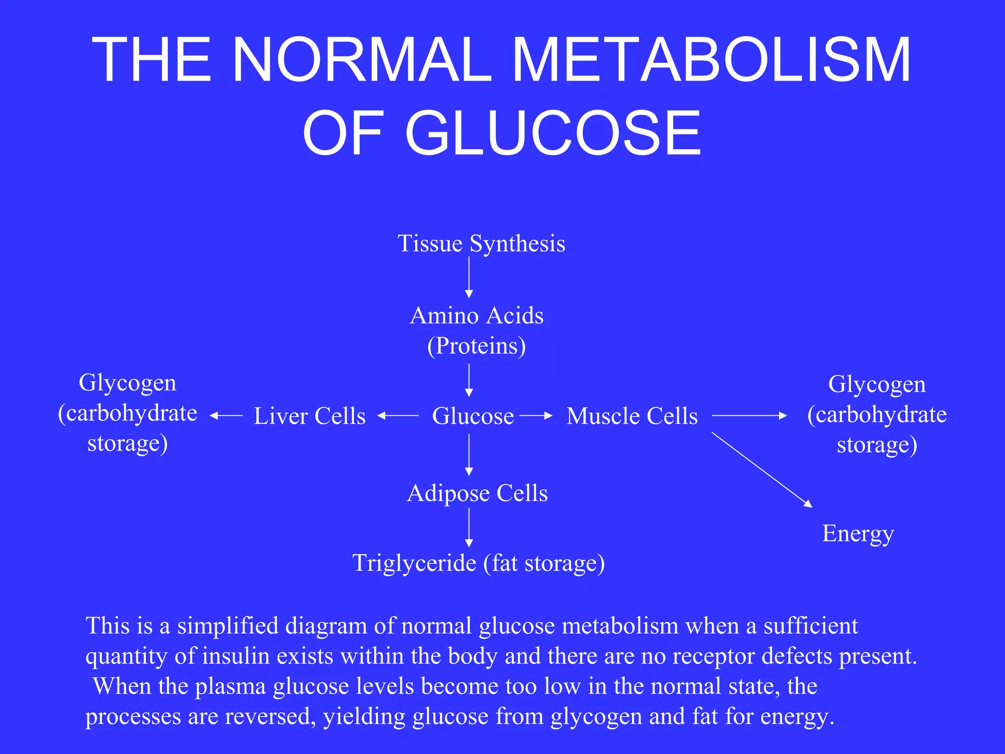 THE NORMAL METABOLISM
OF GLUCOSE
Energy
Adipose Cells
Glucose Muscle Cells
Glycogen
(carbohydrate
storage)
Amino Acids
(Proteins)
Tissue Synthesis
Triglyceride (fat storage)
Liver Cells
Glycogen
(carbohydrate
storage)
This is a simplified diagram of normal glucose metabolism when a sufficient
quantity of insulin exists within the body and there are no receptor defects present.
When the plasma glucose levels become too low in the normal state, the
processes are reversed, yielding glucose from glycogen and fat for energy.
 