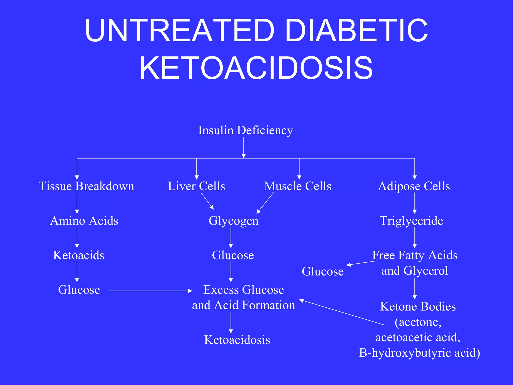 UNTREATED DIABETIC
KETOACIDOSIS
Glucose
Ketoacids
Amino Acids
Tissue Breakdown
Ketoacidosis
Excess Glucose
and Acid Formation
Glucose
Glycogen
Liver Cells Muscle Cells
Glucose
Ketone Bodies
(acetone,
acetoacetic acid,
B-hydroxybutyric acid)
Free Fatty Acids
and Glycerol
Triglyceride
Adipose Cells
Insulin Deficiency
 
