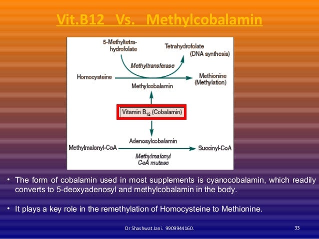 HYPERHOMOCYSTIENEMIA IN PREGNANCY AND LACTATION AND ROLE HYPERHOMOCYSTIENEMIA IN PREGNANCY AND LACTATION AND ROLE