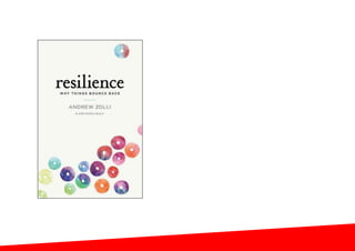 resilience:
„The capacity of a person
system to maintain its core
purpose in the face of
changed circumstances.“
 