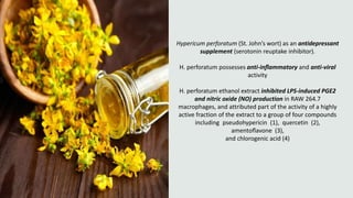 The Immunostimulant Effect of Hypericum perforatum | PPTX