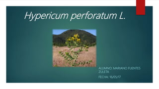 Hypericum perforatum L.
ALUMNO: MARIANO FUENTES
ZULETA
FECHA: 16/05/17
 